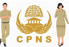 Siap-Siap! Kota Jambi Usulkan Ratusan Formasi CPNS 2026 untuk Gantikan ASN Pensiun