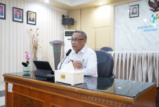 Ekspor Jambi Turun 4,67 Persen, Impor Anjlok Hampir 50 Persen 