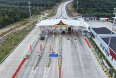 Meledak! Arus Mudik JTTS Tembus 153 Ribu Kendaraan, Lonjakan Gila di Sejumlah Ruas Tol Ini Bikin Kaget