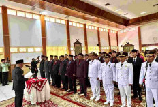 Hasil Job Fit Rampung! Ini Nama 43 Pejabat yang Dilantik Bupati Bungo Dedy Putra, 17 Orang Eselon II