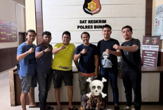 Terungkap! Mobil Avanza Dibakar Dini Hari di Bungo, Polisi Tangkap Pria 37 Tahun