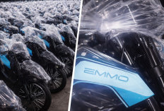 Viral Motor Listrik Rp56 Juta untuk Program MBG? Ini Spesifikasi Lengkap Emmo JVX GT yang Jadi Sorotan