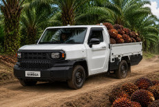 5 Alasan Hilux Rangga Jadi Andalan Pengusaha Sawit & Logistik