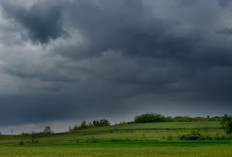 Prakiraan Cuaca Jambi: BMKG Prediksi Kota Jambi Berawan Sepanjang Pekan, Kerinci Terasa Lebih Dininigin  
