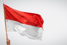 9 WNI Relawan Gaza Pulang dengan Luka dan Trauma, Indonesia Resmi Bawa Kasus Ini ke DK PBB