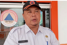 Status Siaga Karhutla di Kabupaten Tebo Diperpanjang hingga Akhir November 2026