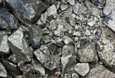 Bahlil Revisi Aturan Harga Nikel, APNI: Harga Langsung Melonjak ke US$18.200/Ton