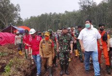 Al Haris Bersama Pangdam TIB Turun Langsung Padamkan Karhutla di Kawasan Gambut Londerang Tanjab Timur 