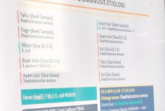  Terungkap! Bakteri Berbahaya Ditemukan di Menu Makan Siswa, Dugaan Keracunan Massal di Muaro Jambi Mengerucut