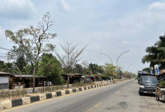 ISPU Capai 190, Udara Muarojambi Tidak Sehat 