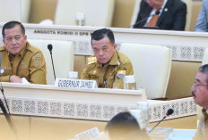 PPPK Penuh Waktu dan Paruh Waktu Jadi Sorotan, Al Haris Desak Solusi di Hadapan DPR