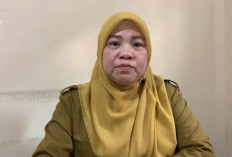 Hingga Mei 2026, Ada 56 Kasus Kekerasan Perempuan dan Anak di Provinsi Jambi