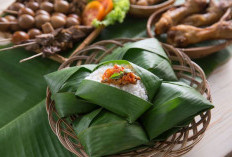 Bukan Karena Ada Kucingnya, Ini Alasan Nasi Bungkus di Angkringan Disebut Nasi Kucing