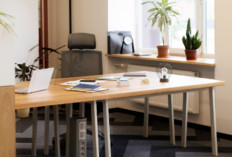 Simak! Ini Daftar Posisi Pejabat Eselon II di Pemkab Tebo yang Dilelang