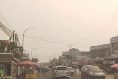 Kualitas Udara Memburuk, Pemkab Muarojambi dan Pemkot Jambi Perpanjang PJJ