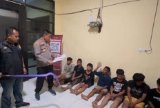 Masih SMP! Polisi Tangkap Rombongan Bujang Madesu Bersenjata Tajam yang Konvoi dan Serang Warga di Jaluko