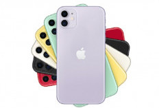 iPhone 11 di 2026: Masih Layak Beli atau Wajib Upgrade?