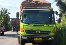 Nekat Melintas Siang Bolong, Truk Batubara Dihentikan Pemuda Pancasila di Talang Duku!