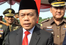 Tega! TKI Asal Bungo Diduga Alami Kekerasan oleh Majikan di Malaysia, Gubernur Jambi Koordinasi dengan KBRI