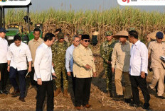 Dampingi Presiden Prabowo Panen Raya di Malang, Menteri Nusron: Ketahanan Pangan Butuh Kepastian Hukum Tanah