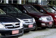 Pemkab Muaro Jambi Hentikan Sewa Mobil Dinas, Bakal Tarik Puluhan Kendaraan Bertahap 