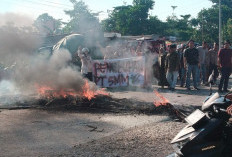 Warga Sarolangun Murka! Jalan Lintas Sumatera Diblokir, Ban Dibakar di Depan Pabrik PT SMM