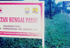 Jembatan yang Dibangun SKK Migas-PetroChina Banyak Membawa Manfaat, Masyarakat Berharap Bantuan Penerangan