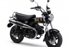 Honda ST125 Dax Bersolek, Astra Honda Motor Rilis Dua Pilihan Warna Baru