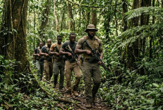 Papua Tengah Memanas! Kontak Senjata, 4 Tewas dan Anak Tertembak—Pemerintah Minta Kekerasan Dihentikan