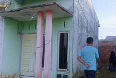 Geger Perumahan Edelweis! Rumah di Tanjab Timur Digerebek Polisi, Diduga Jadi Lokasi Penanaman Ganja