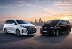 Takhta Alphard Digoyang Denza D9? Ini Perbandingan MPV Mewah Rp1,3 Miliar Langganan Pejabat 