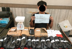 Nekat Nih! Timsus dan Satresnarkoba Polresta Jambi Amankan 4 Kilogram Ganja dari Pengedar Asal Lampung