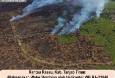 WALHI Jambi Soroti Penegakan Hukum Karhutla: Petani Diproses, Korporasi Dipertanyakan 