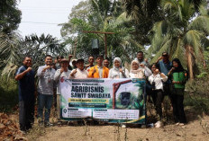 Faperta UNJA Kenalkan FEROTRAP di Bukit Baling, Solusi Hama dan Tantangan Ekonomi Saat Replanting Sawit