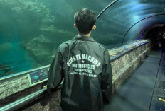 Hutan Tak Lagi Hijau: Ambisi Ekonomi yang Mengorbankan alam