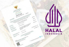 Jangan Terlambat! Ribuan Kuota Sertifikat Halal Gratis untuk UMKM Jambi Masih Tersedia, Batas Akhir Oktober