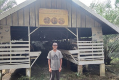 Ciptakan Multiplier Effect, CSR SKK Migas PetroChina Dorong Kemandirian Ekonomi dan Pertanian 
