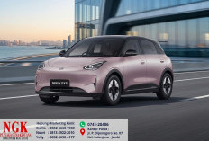 Hatchback Listrik Geely EX2 Tembus Rekor Produksi 1 Juta Unit dalam 2 Tahun