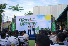 Grand Opening Padel Kalcer Jambi Pecah, Wali Kota Hadir dan Fasilitasnya Lengkap Banget!