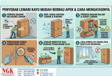 Lemari Kayu Berbau Apek? Periksa 6 Hal Ini Sebelum Jamur Merusak Furnitur