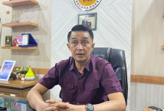 Karhutla Jambi Capai 222 Hektare, Satgas Siagakan Pesawat Cessna untuk OMC