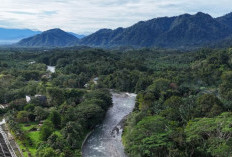 Menakar Kebijakan Fiskal Penyelamat Alam