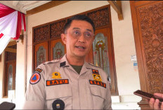 Karhutla Jambi Mencapai 300 Hektare, Belum Termasuk Karhutla Muarojambi