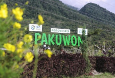 Desa Pajambon di Kuningan Jadi Contoh Transformasi Ekonomi Desa Berbasis Potensi Lokal