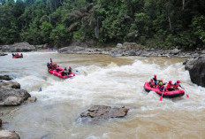 Siap-siap! Unesco Akan Datangi Geopark Merangin, Al Haris Minta Tambang Emas Ilegal Ditindak Tegas
