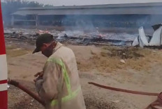  Kandang Ayam PT Ciomas Adi Satwa di Sungai Bertam Terbakar, Kerugian Capai Rp 1 Miliar