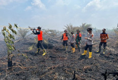 Lahan Terbakar di Muarojambi Tembus 325 Hektare ,  Status Naik Jadi Tanggap Darurat