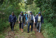 Lewati Jalur Ekstrem, Utusan Gubernur Jambi Tembus Kebun Kopi Kerinci di Ketinggian 1.200 Mdpl