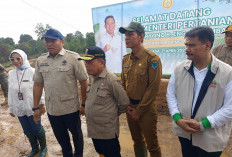 Bupati Batang Hari Dampingi Wamentan pada Tanam Padi Serentak di CSR Kecamatan Muarabulian