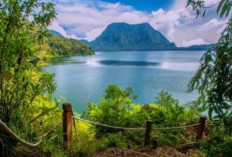  Destinasi Wisata Alam: 6 Danau Memukau di Jambi yang Pas untuk Mengisi Waktu Liburan